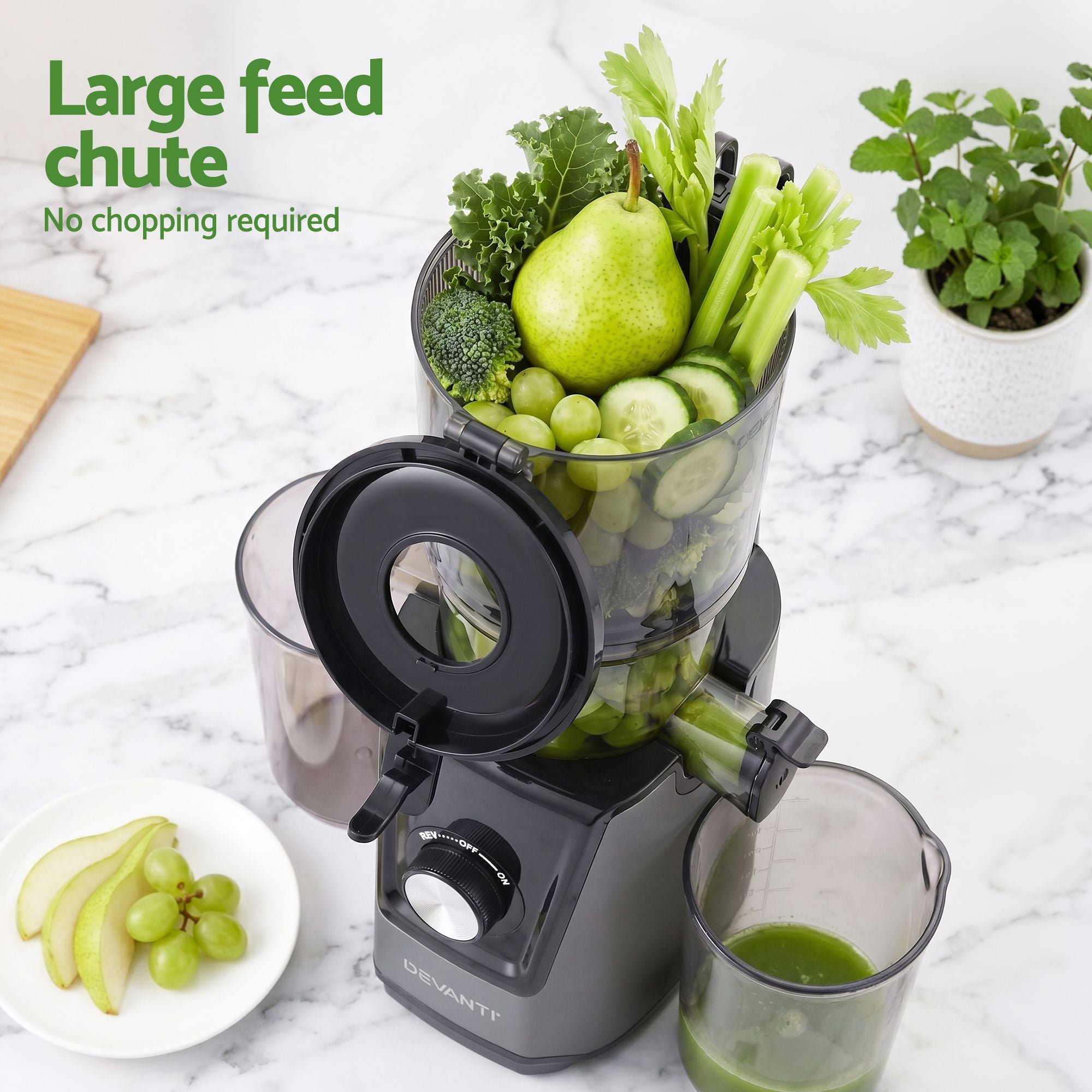 Slow Juicer Cold Press 200W for Fruit Vegetable Juice