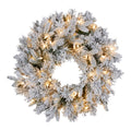 61cm Snowy Atica Pre-Lit Warm White LED Snowy Finish Christmas Wreath